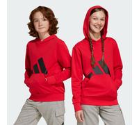 Adidas Kids Hoodie Essentials Big Logo Unisex Pure Ruby/Black 11-12 Years