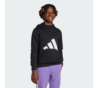 adidas Unisex Kids ESSENTIALS BIG LOGO HOODIE, Black/White, 11-12 Years