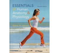 Essentials of Human Anatomy & Physiology