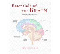 Essentials of the Brain: An Introductory Guide