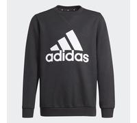 Essentials Sweatshirt