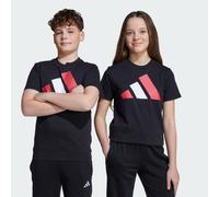 adidas Unisex Kids Essentials Big Logo T-Shirt, Black/Pure Ruby/White, 7-8 Years
