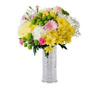 ESSGUO Crush Diamond Vase, Shinking Crystal Glass Vase, 10 H Luxurious Decorative Flower Vase for Home Deco, Living Room, Wedding, Party, Dining-Table, Can Hold Water（Silver）