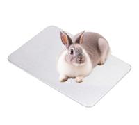 Esshogo 1 Piece Cooling Mat for Small Animals, Rabbit Cooling Pad, Cooling Plate for Pets, Hamster Cooling Compress, Cooling Plate Hamster, Pet Cooling Mat