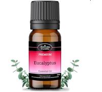 Essican Purelife Eucalyptus Essential Oils for Skin, Glass Bottle 10ml | 100% Eucalyptus Oils, Aromatherapy, Candle Making, Bath, Haircare, Skincare, Fresh Minty Scent, Sleep and Relax, Body Oil