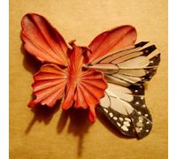 Essie Jain - We Made This Ourselves