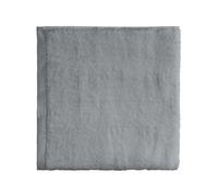 Essix Home Collection Aqua Towel 55 x 100 cm Silver