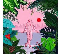 Est Ce Que Tu Vois le Tigre