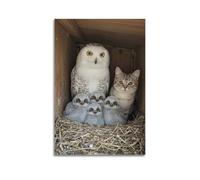 ESTE Funny Animal Poster Owl And Its Babies Decorative Painting Canvas Modern Art Picture 16x24inch(40x60cm)