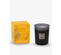 Esteban Ambre Scented Candle 170g