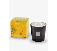 Esteban Ambre Scented Candle 450g