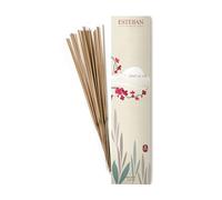 Esteban Esprit de thé Indian Incense