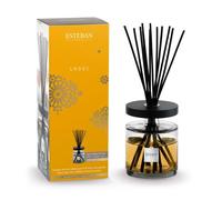 Esteban Paris Ambra Bouquet Profumato Ellipse 500 ml