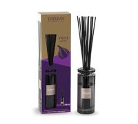 Esteban - Room fragrance with fragrance sticks - Diffuser with sticks - Fragrance bouquet - Permanent cold evaporation - Simple design for decorative - Long-lasting air freshener - 100 ml - Black fig