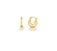 Estella Bartlett Gold Plated Double Hoop Drop Pearl Earrings