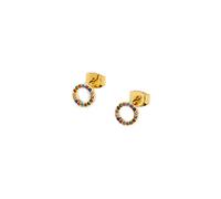 Estella Bartlett Multi CZ Circle Earrings - Gold Plated