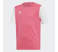 Estro 19 Jersey
