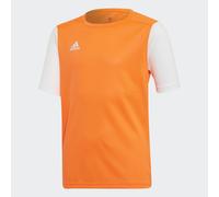 Estro 19 Jersey