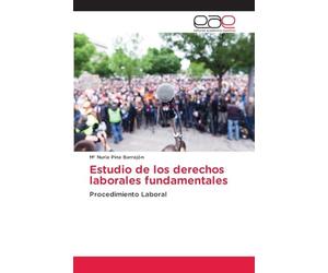Estudio de los derechos laborales fundamentales: Procedimiento Laboral