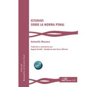 Estudios sobre la norma penal: 29 (Monografías de Derecho Penal)