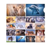 Estune 54 Pcs Rfid Blocking Sleeves, Credit Card Protectors, Anti Theft Credit Card Holder, Credit Card Sleeves, Easy to Recognize (Animal)