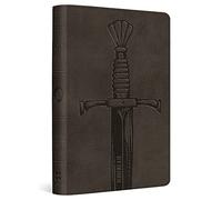 ESV Compact Bible (TruTone, Silver, Sword Design)