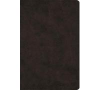 ESV Large Print Bible