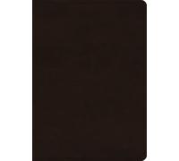 ESV Large Print Value Personal Size Bible
