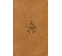 ESV Large Print Value Thinline Bible