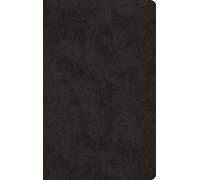 ESV Large Print Value Thinline Bible