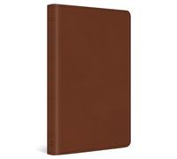 ESV Large Print Value Thinline Bible (TruTone, Camel)