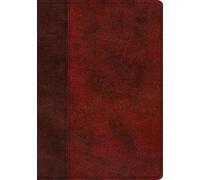 ESV Single Column Journaling Bible, Large Print