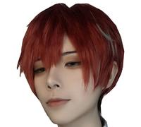 ET cosplay Wig for Hypnosis Mic Division Rap Battl Kannonzaka Doppo