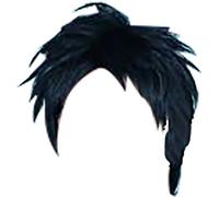 ET cosplay Wig for Monthly Girls' Nozaki kun Nozaki Umetarou black