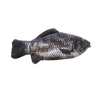 ETANULPEX Funny Live Ballpoint Pens Fish Pen Black Ink Smooth Writing Humorous Fish Designed Pen Holder Carp Shaped Pencil Pouch Student Stationery Essentials Pens Storage Organizer/797