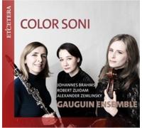 Etcetera - Gauguin Ensemble - Color Soni CD RELEASE DATE 29/03/24 THIS - N4z