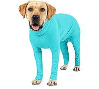 Etdane Dog Onesie Surgery Recovery Suit Prevent Shedding Hair Sport Shirt Anxiety Jumpsuits Lake Blue/Large…