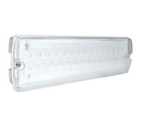 Eterna YESSS LED Maintained Emergency Bulkhead, Multi
