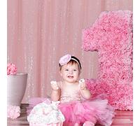 Eternal Beauty 122x213cm Pink Shinny Sequin Photography Backdrop Party Prom Wedding Youtobe Banquet Photo Background (4x7 feet)