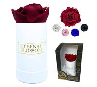 Eternal Blossom Preserved Real Infinity Rose | Eternal Rose That Lasts Over A Year White Box | With Gift Box (Rouge Red)