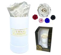 Eternal Blossom Preserved Real Infinity Rose | Eternal Rose That Lasts Over A Year White Box | With Gift Box (Lace White)