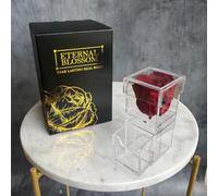 Eternal Blossom Preserved Real Infinity Rose Makeup Box | Lasts Over A Year With Beautiful Gift Box (Rouge Red)