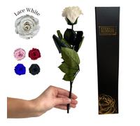 Eternal Blossom Preserved Real Long Stem Infinity Rose | Eternal Rose That Lasts Over A Year With Beautiful Gift Box (Lace White)