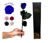 Eternal Blossom Preserved Real Long Stem Infinity Rose | Eternal Rose That Lasts Over A Year With Beautiful Gift Box (Royal Blue)