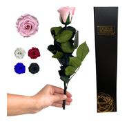 Eternal Blossom Preserved Real Long Stem Infinity Rose | Eternal Rose That Lasts Over A Year With Beautiful Gift Box (Vintage Pink)