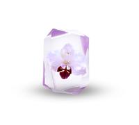 Eternal Flower Orchid Baby | Orchid Keiki | Preserved Natural Flower in Resin | Resin Art Figurines | Preserved Flowers | Resin Souvenir | Gem Orchid | Paperweight | Resin Crafts (White)