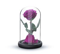 Eternal Forever Rose | Fresh Rose Gift | Single Rose Preserved for 5 Years | Handcrafted | Gifts for Women Birthday unique Unusual | Mother’s Day, Anniversary, Christmas valentine’s day (Purple)