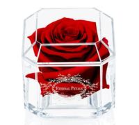 Eternal Petals A 100% Real Rose That Lasts Years, Handmade in London, Flowers Delivery Next Day Prime UK - White Gold Solo (Deep Red)