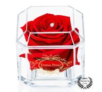Eternal Petals A 100% Real Rose That Lasts Years, Handmade in UK - Gold Solo with A Multicolour Crystal (Red)