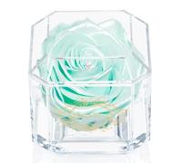 Eternal Petals A 100% Real Rose That Lasts Years, Handmade in UK - Gold Solo with A Multicolour Crystal (Tiffany Satin)